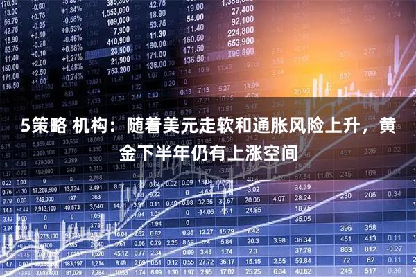 5策略 机构：随着美元走软和通胀风险上升，黄金下半年仍有上涨空间