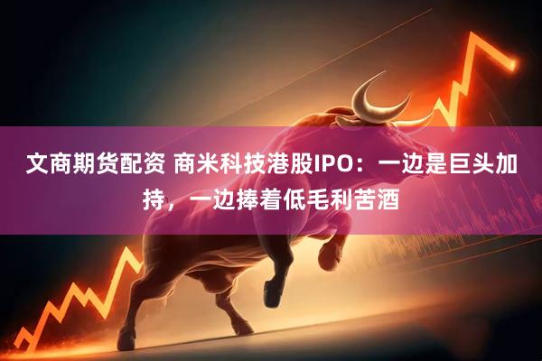 文商期货配资 商米科技港股IPO：一边是巨头加持，一边捧着低毛利苦酒