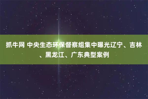 抓牛网 中央生态环保督察组集中曝光辽宁、吉林、黑龙江、广东典型案例