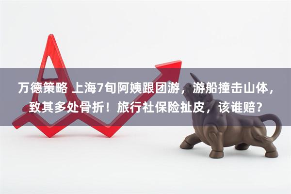 万德策略 上海7旬阿姨跟团游，游船撞击山体，致其多处骨折！旅行社保险扯皮，该谁赔？
